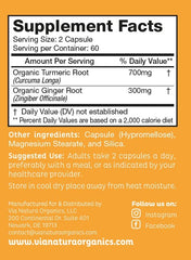 Via Natura Organics turmeric ginger capsules label close-up showing organic ingredients.