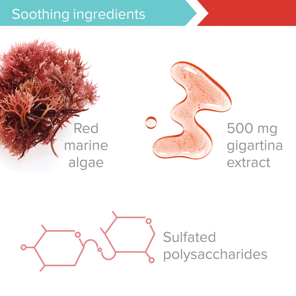 Vibrant Health Gigartina Red Marine Algae capsules sealed for freshness and potency