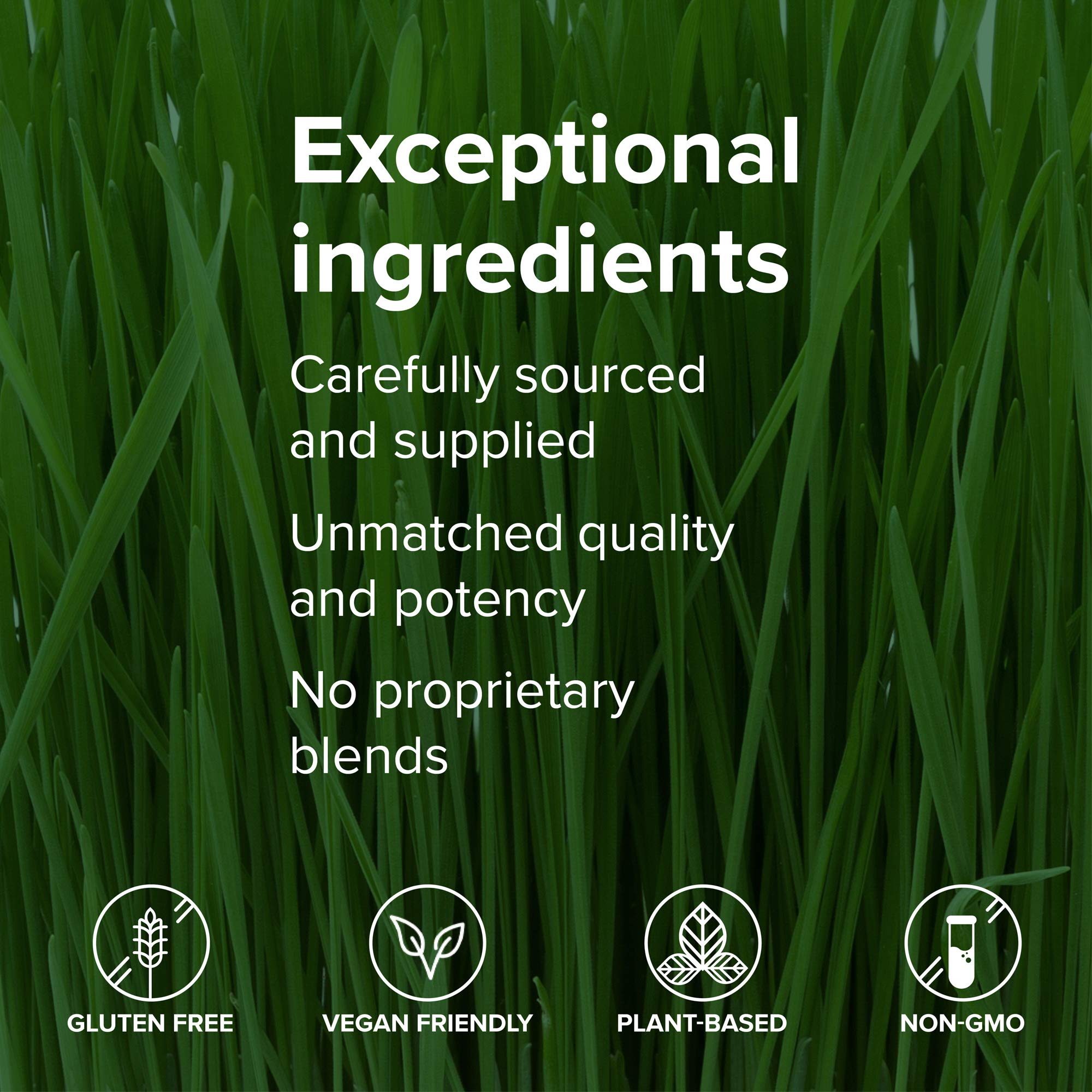 Vibrant Health Green Vibrance packets ideal for daily use on busy mornings.