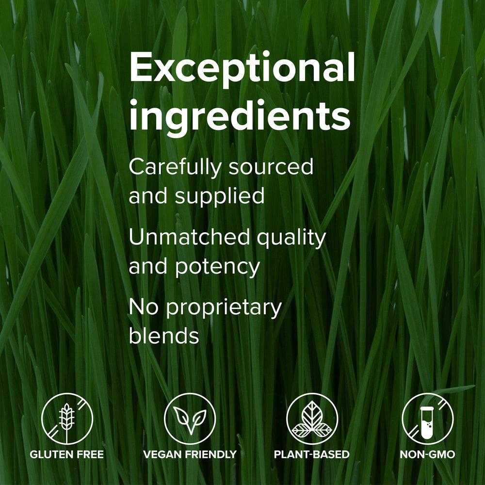 Vibrant Health Green Vibrance packets ideal for daily use on busy mornings.