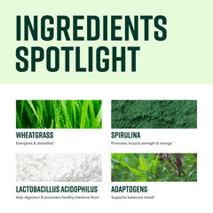 Glass of smoothie featuring Green Vibrance for a creamy plant-based treat.