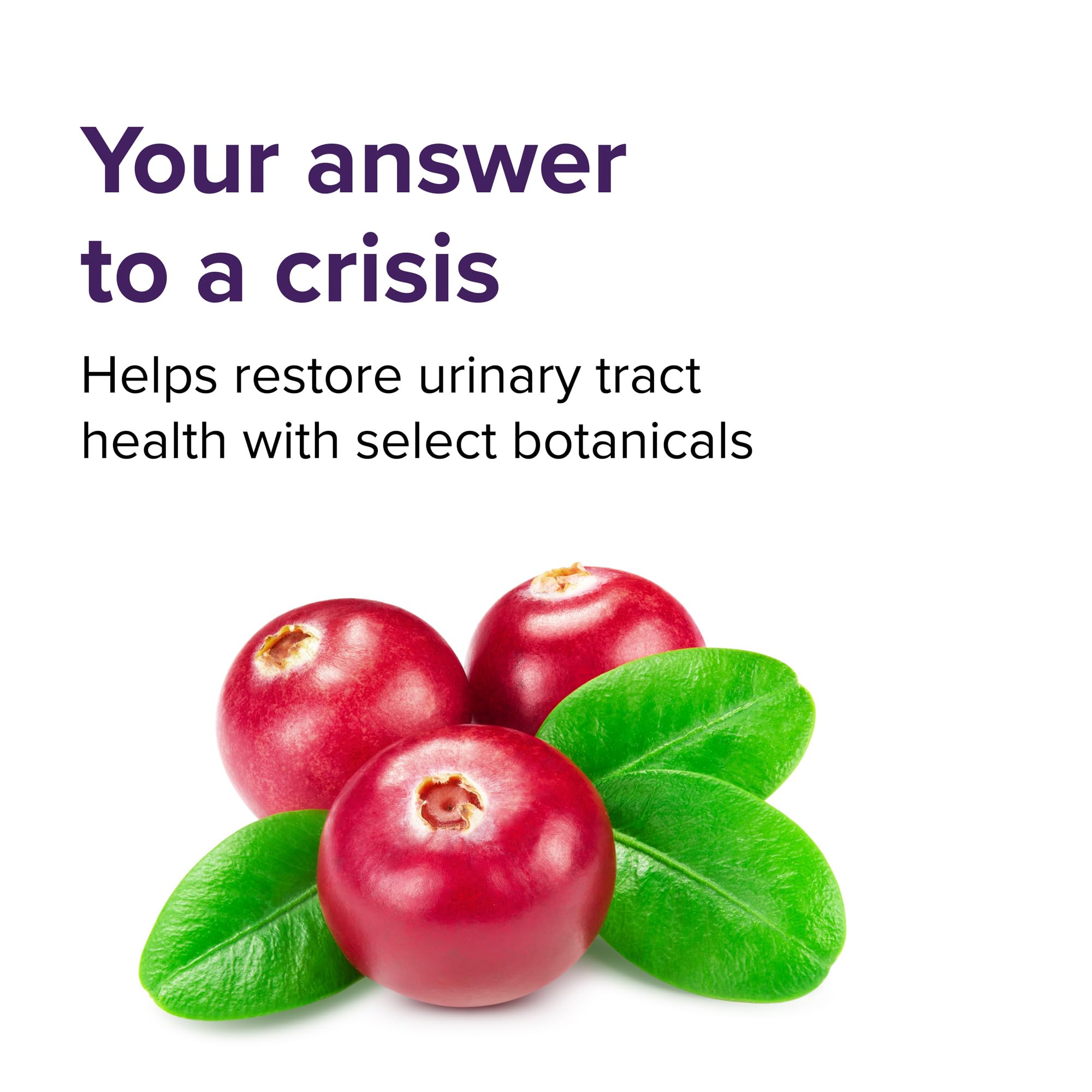 Vibrant Health U.T. Vibrance ingredient panel reveals plant-based core for lasting balance.