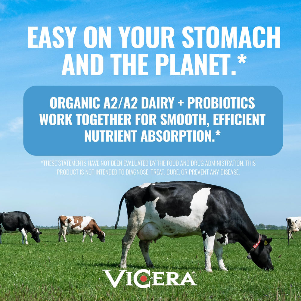 VICERA A2 Protein Powder Vanilla Creme ingredients panel close-up