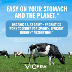 VICERA A2 Protein Powder Vanilla Creme ingredients panel close-up