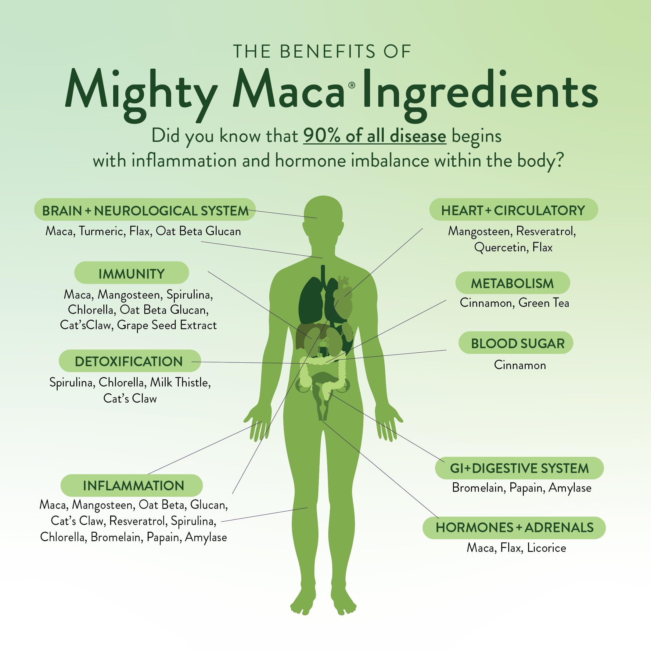 VIDAPURA Mighty Maca Plus Mango bottle label showing vegan, alkaline formula.
