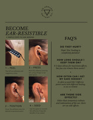 Vie Healing ear seed spoon shown for easy at-home application