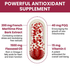 Vigorizar 200 mg pine bark capsules highlighting potent French maritime pine bark extract.