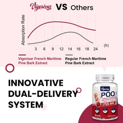 Vigorizar dual-delivery system infographic showing enhanced absorption potential.