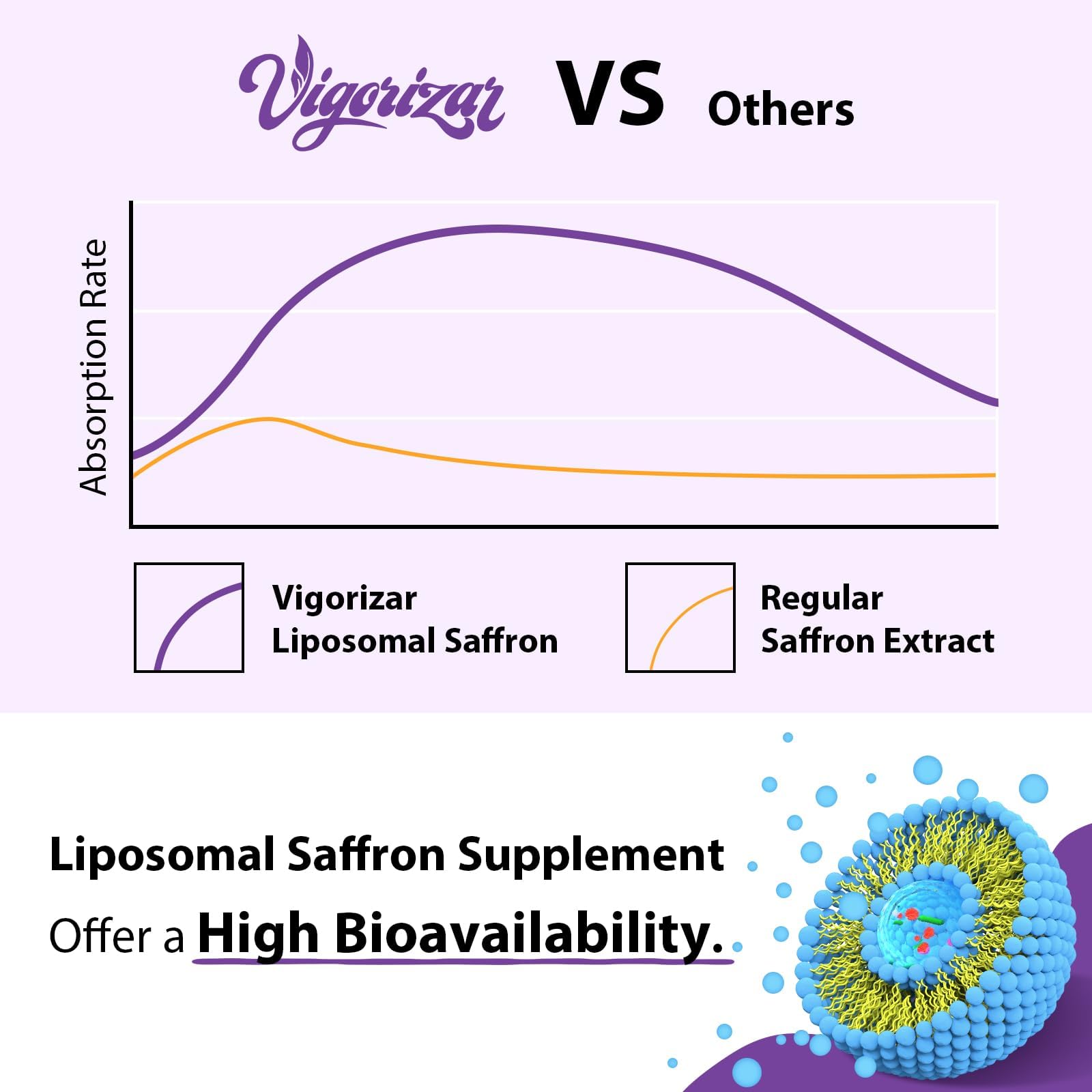 Liposomal delivery illustration showing enhanced absorption of saffron bioactives