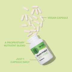 Vimergy Celeryforce label front showing kosher and gluten-free certifications