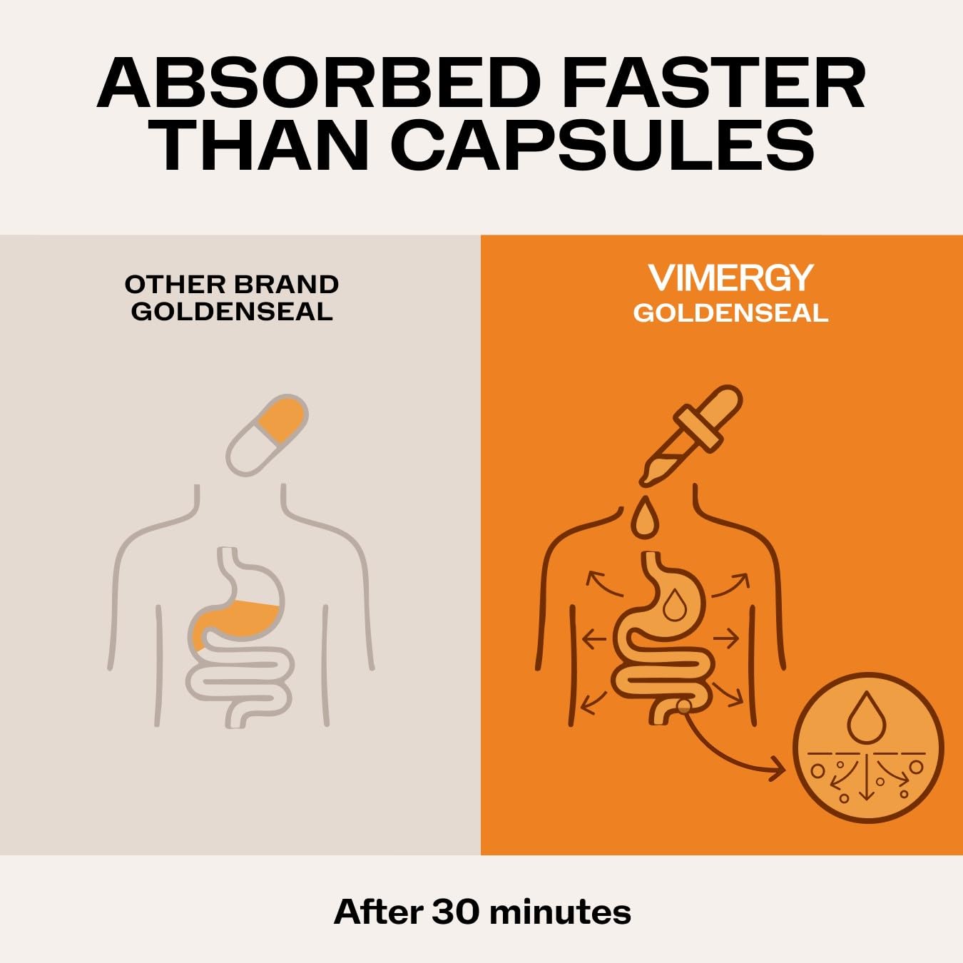Vimergy Goldenseal tincture drops added to water for easy mixing.