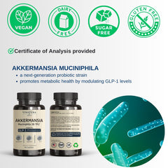 VINATURA Akkermansia capsules closeup highlighting DR delivery for targeted absorption