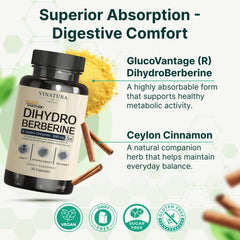 VINATURA dihydroberberine label closeup with ingredient clarity.