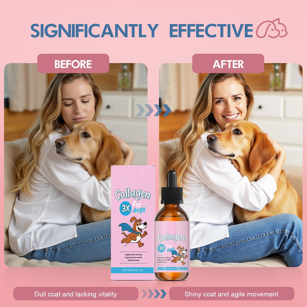 Vincofoo Healthy Petz collagen supports joints and mobility for active dogs