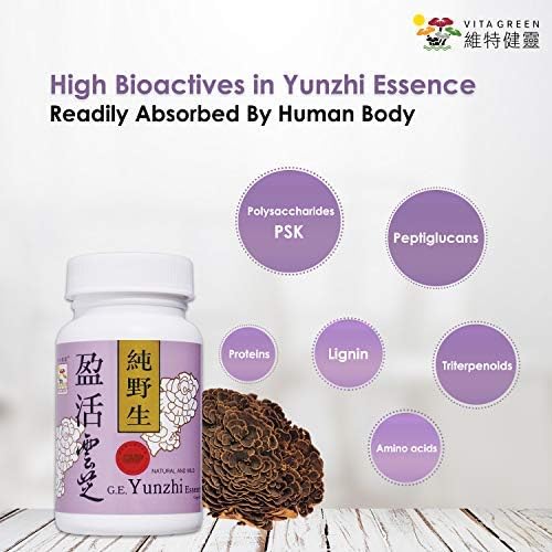Vita Green immune-support icon with capsule for everyday resilience.