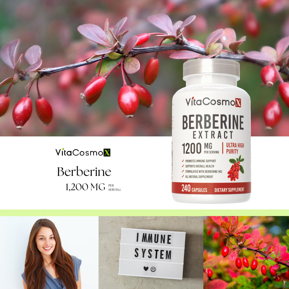 GMP-certified logo on VitaCosmoX Berberine HCl packaging.