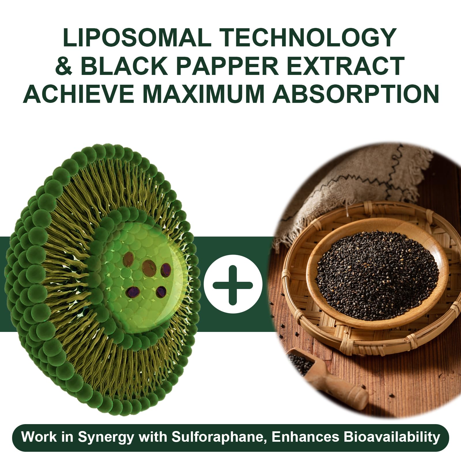 VITACRLLYNMN broccoli extract capsules close-up showing natural formulation.