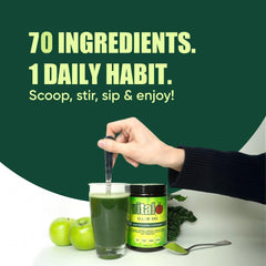 Vital All-in-One Daily Powder scoop in hand ready to measure a quick daily boost