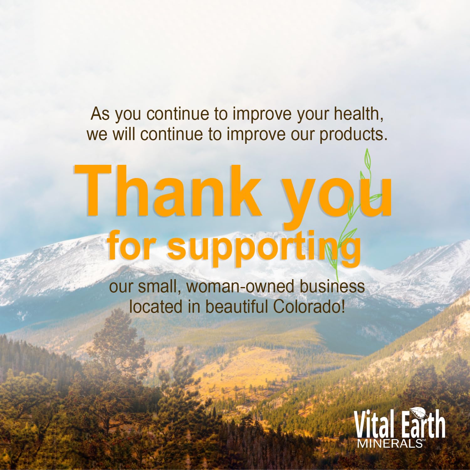 Vital Earth Minerals close-up of mineral-rich liquid for wellness routine