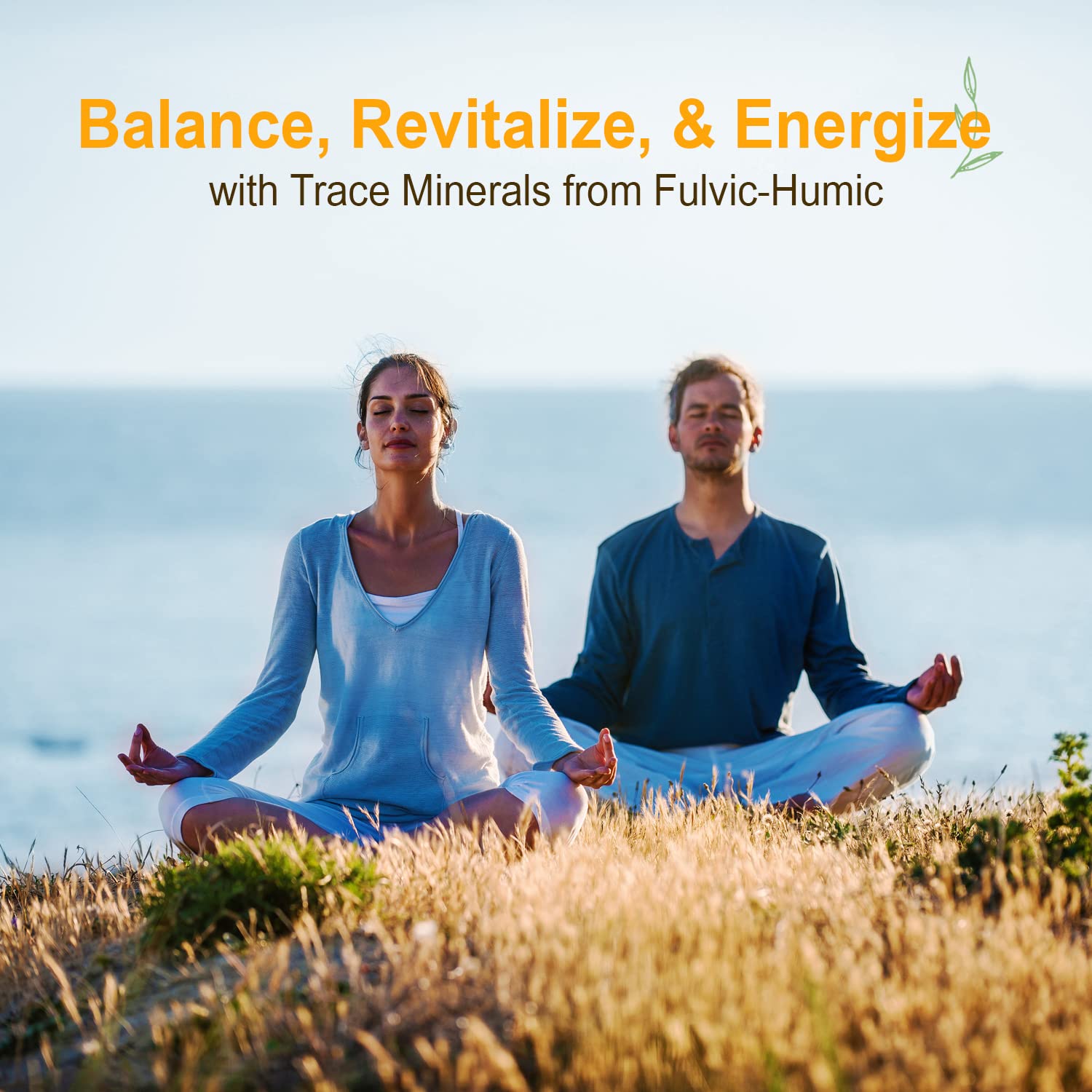 Kitchen counter setup with Vital Earth Minerals bottle duo ready for daily use