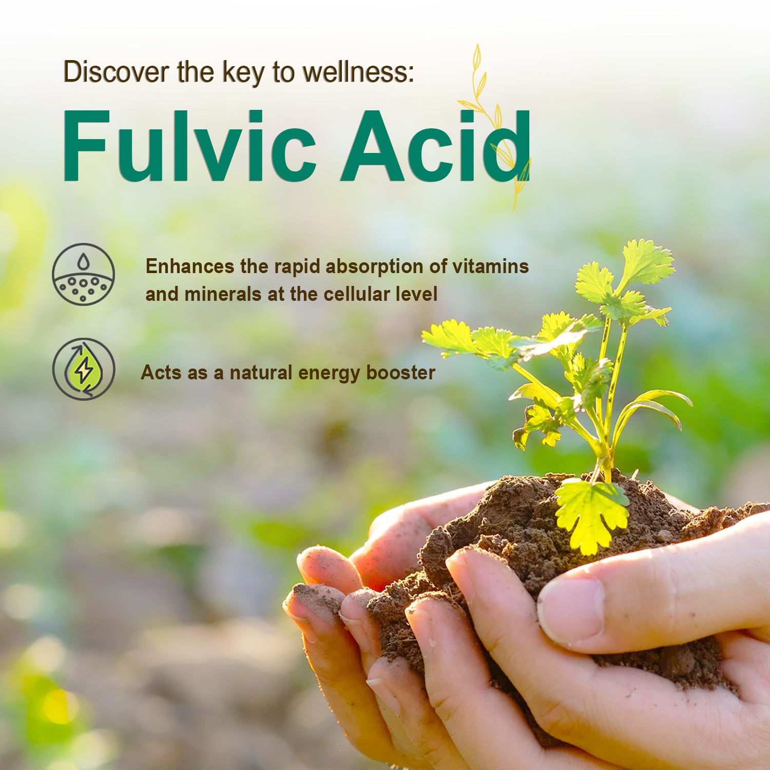 Vital Earth Minerals Super Multi bottle with MTHFR support and fulvic minerals.