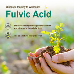 Vital Earth Minerals Super Multi bottle with MTHFR support and fulvic minerals.