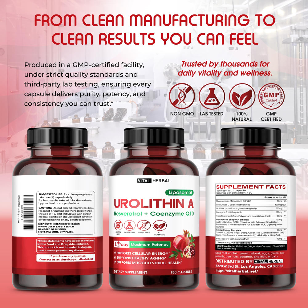 Vital Herbal 150-day supply label indicates long-term wellness planning