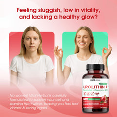 Vital Herbal CoQ10 and Trans-Resveratrol ingredients close-up signaling antioxidant-friendly energy