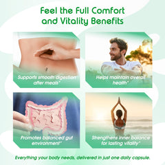 VITAL HERBAL Ginger capsules close-up suggests easy daily use for steady energy