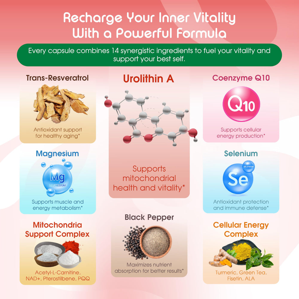 Vital Herbal liposomal absorption bottle view highlights enhanced ingredient uptake