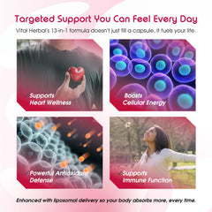 Vital Herbal CoQ10 bottle graphic illustrating steady energy and circulation support