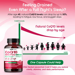 Vital Herbal CoQ10 with Omega-3 capsules highlighting enhanced absorption and heart wellness