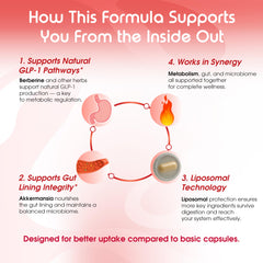 VITAL HERBAL liposomal DIM bottle with ingredients illustration highlighting absorption tech