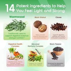 VITAL HERBAL Whole Cloves Ginger capsules illustrate versatile daily wellness routine