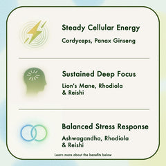 Vital Matter MycoClarity Ultra smoothie-mixer in a blender showing versatile use.