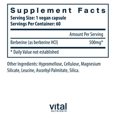 Vital Nutrients Berberine capsule closeup highlighting 500 mg potency for metabolism.
