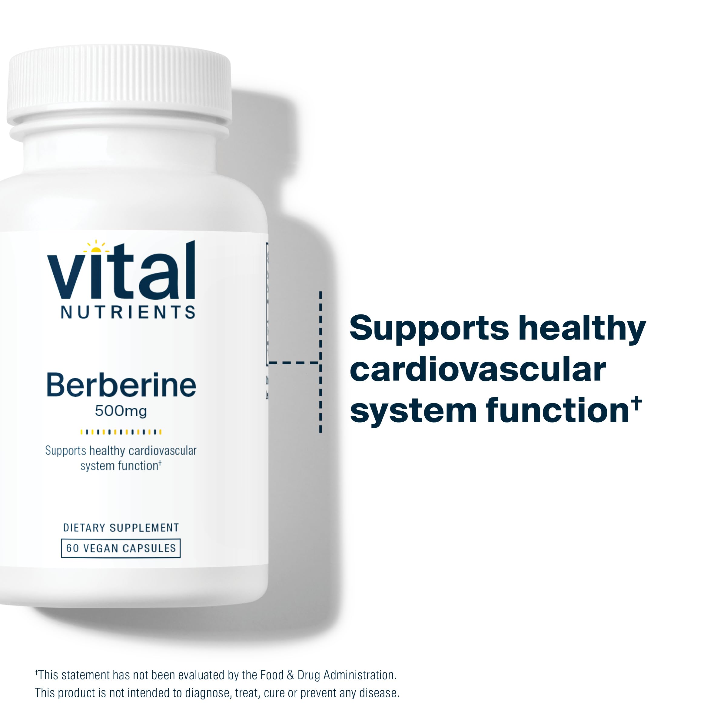 Vital Nutrients Berberine packaging on shelf conveying trusted brand presence.
