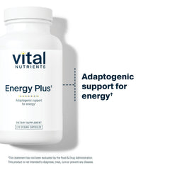 Vital Nutrients Energy Plus label highlights gluten-free and non-GMO formulation