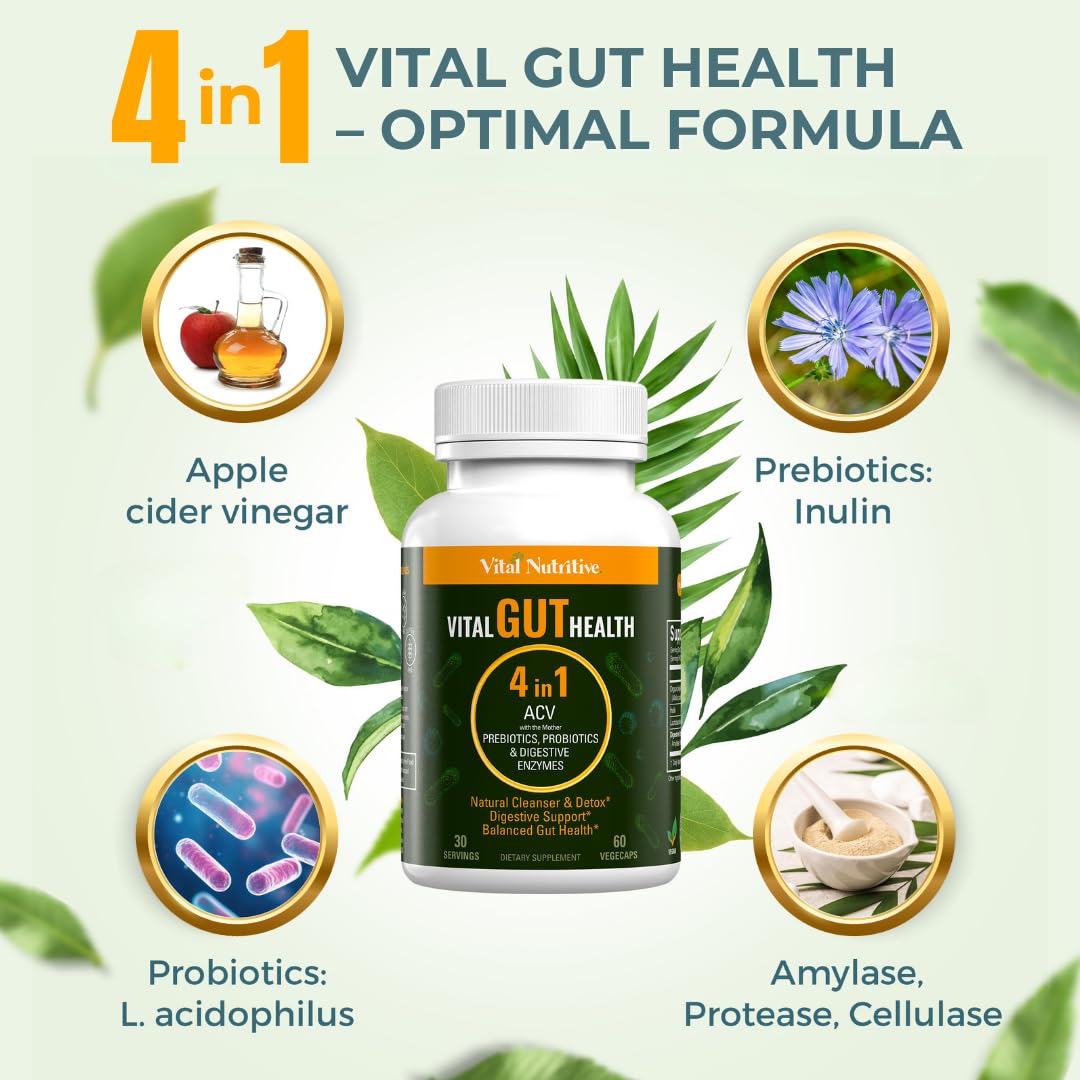 Vital Nutritive Vital Gut Health pour illustrating easy daily intake for digestion