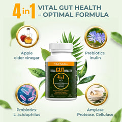 Vital Nutritive Vital Gut Health pour illustrating easy daily intake for digestion