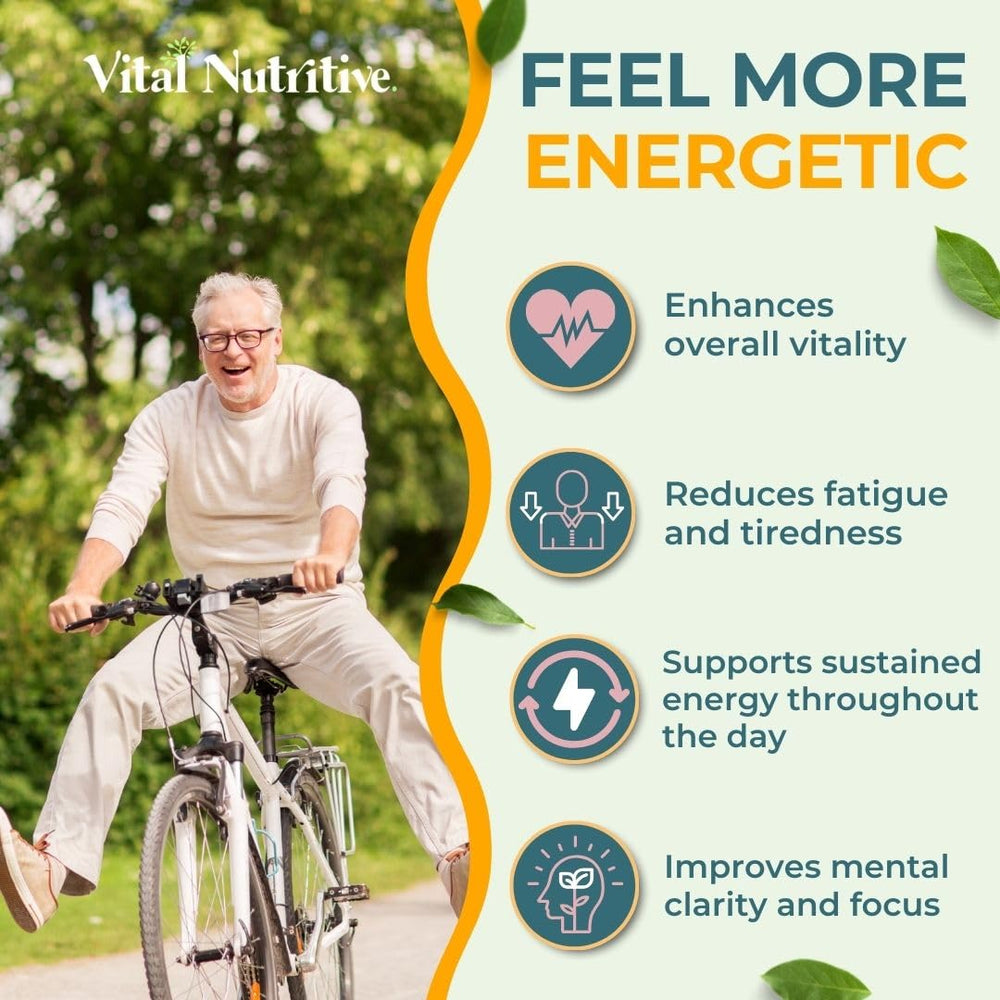 Vital Nutritive Vital Gut Health digestive-enzymes-capsules representation aids digestion.