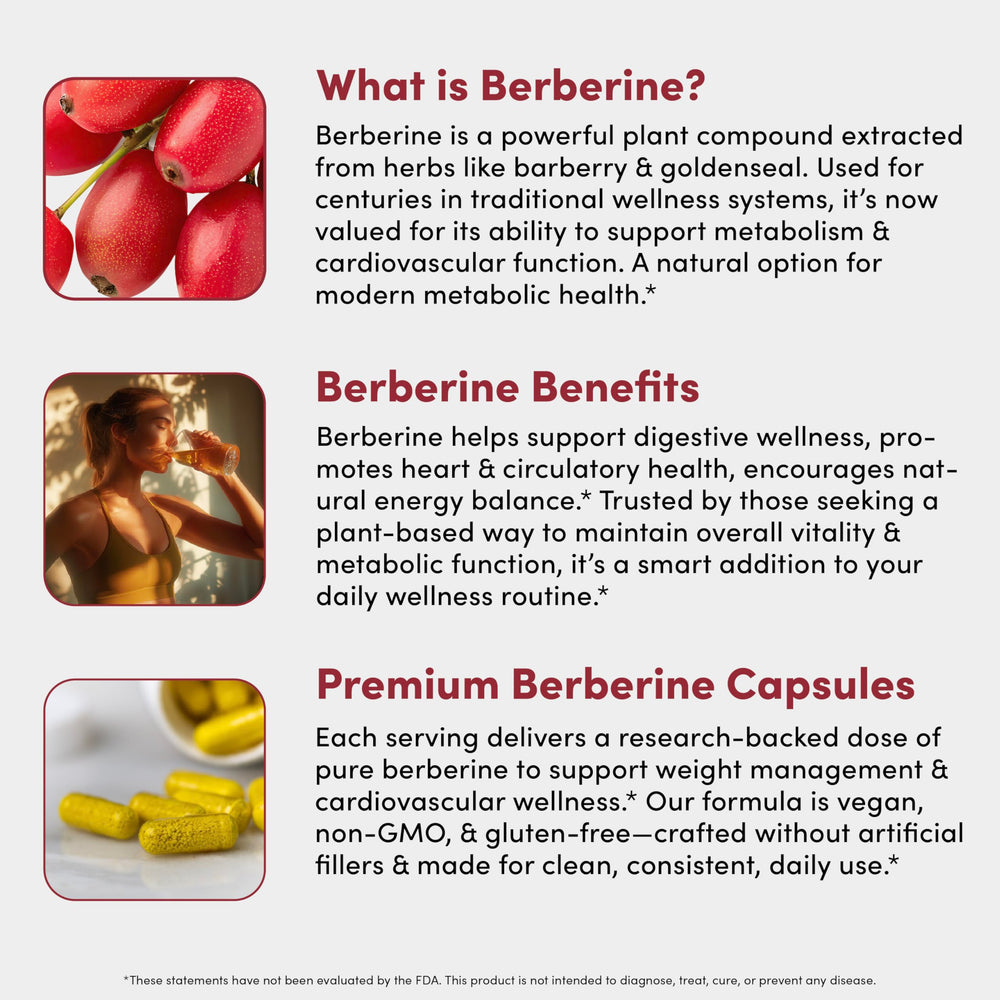 Vital Peak Berberine capsule jar with vegan icon communicates quality