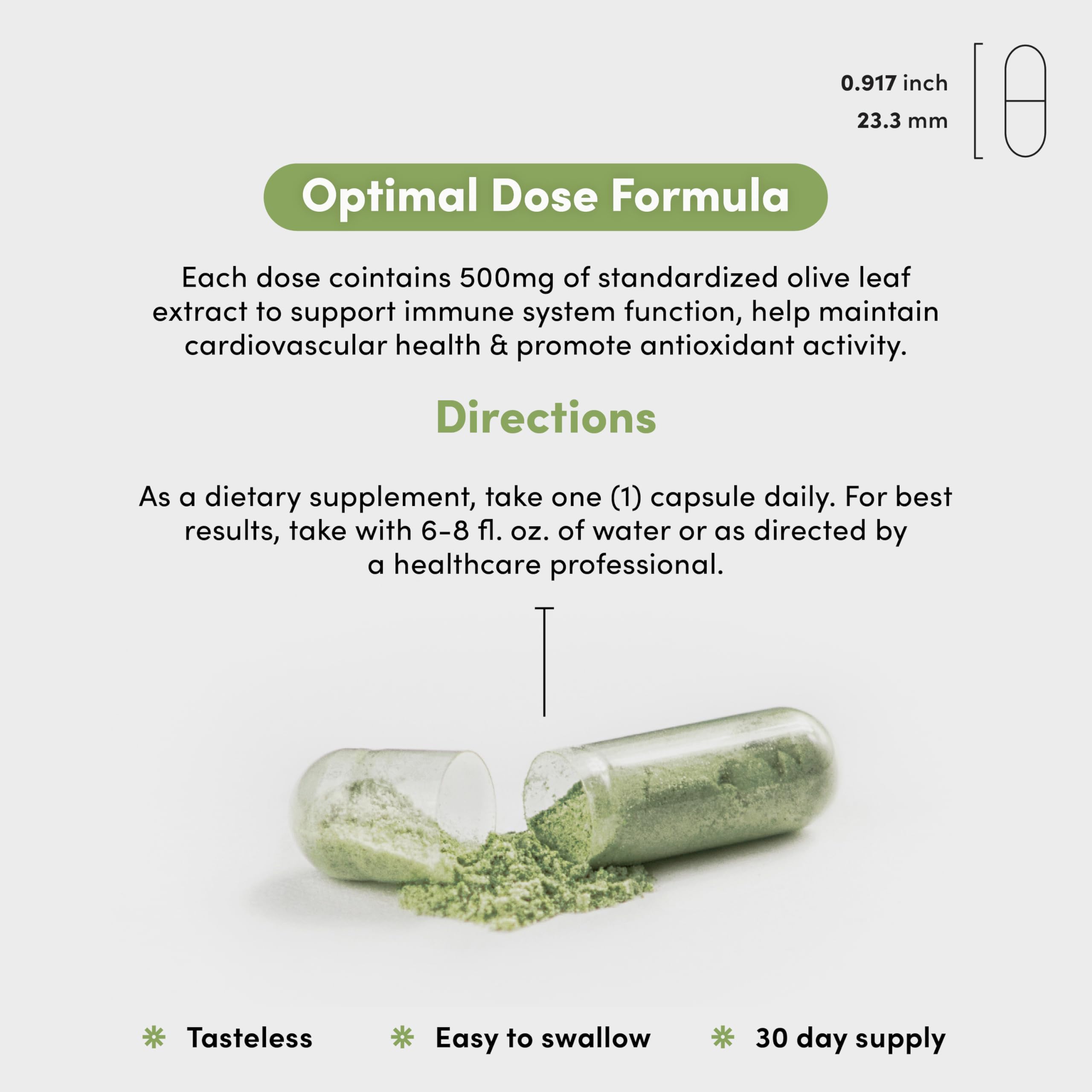 Vital Peak Olive Leaf Peak scene suggesting cardiovascular wellness for a healthy lifestyle