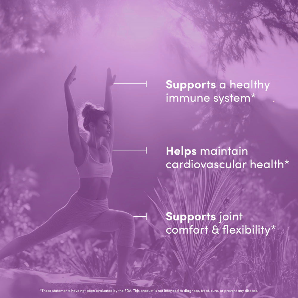 Vital Peak Olive Leaf Peak bottle on a clean counter signaling daily immune support potential