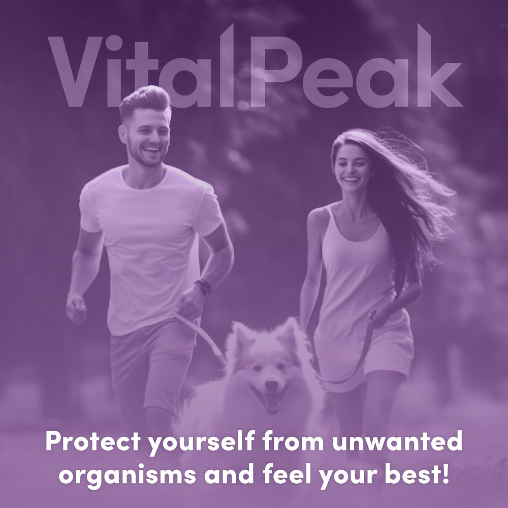 Vital Peak ParaCleanse supplement routine supports daily digestive comfort.