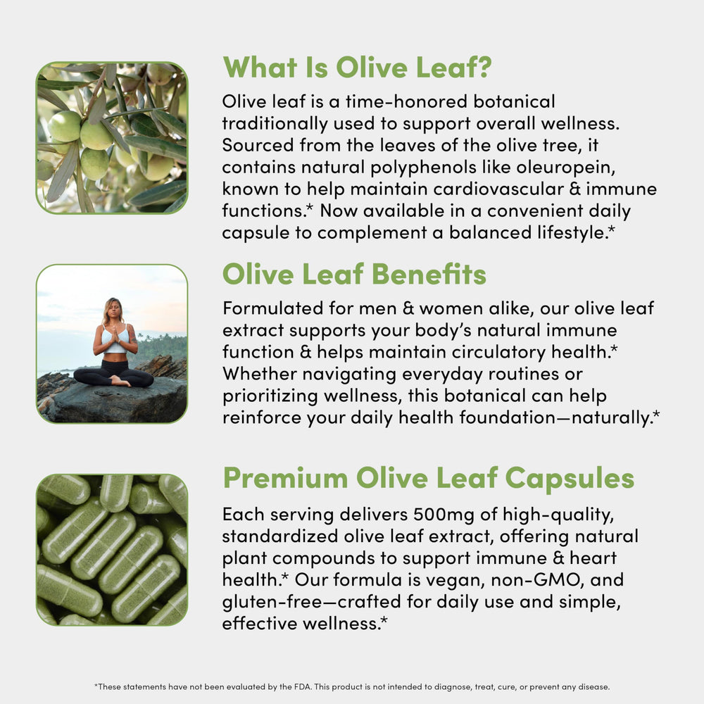 Vital Peak bottle highlighting pure olive leaf extract without fillers