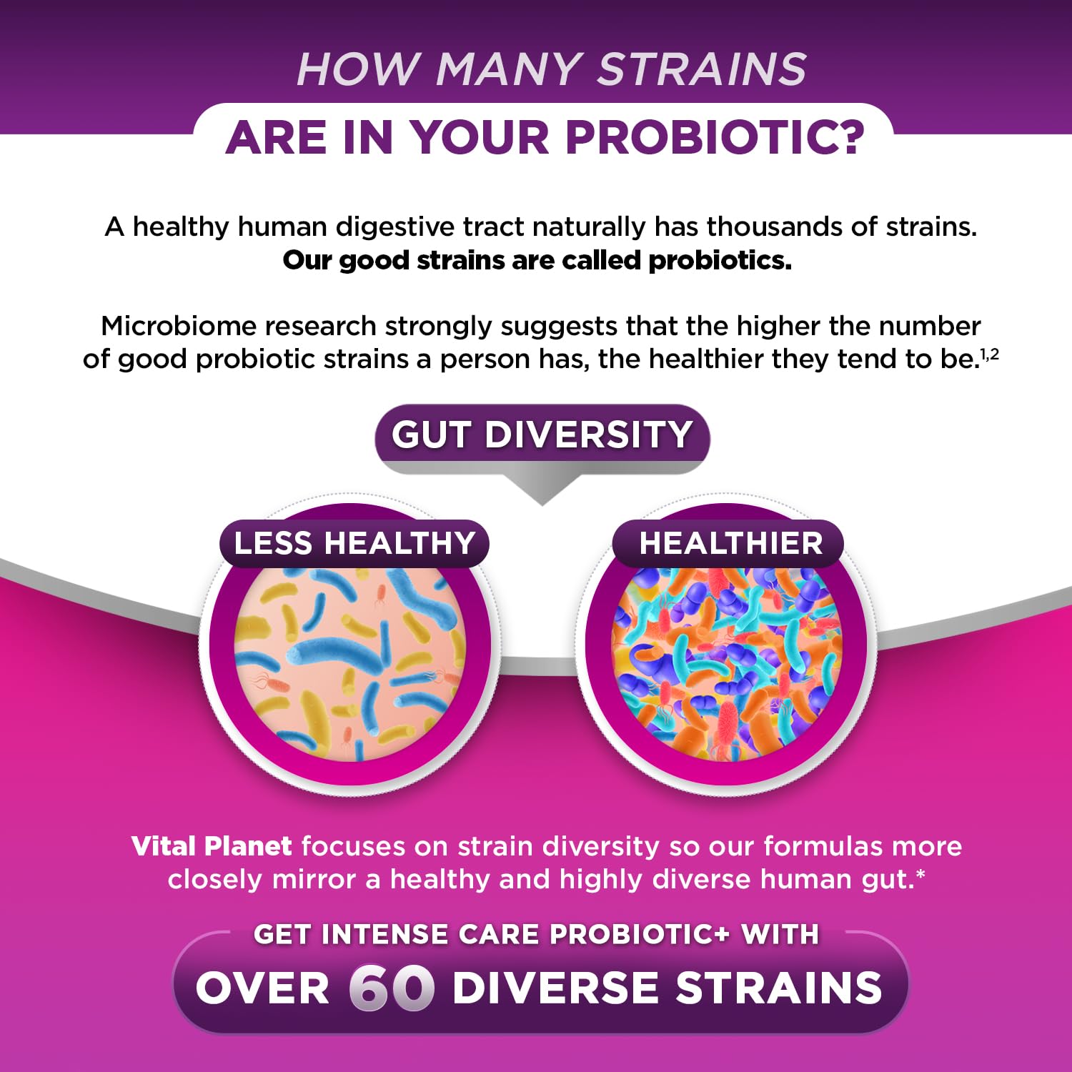 Vital Planet infographic showing organic prebiotics fueling probiotics for gut health.