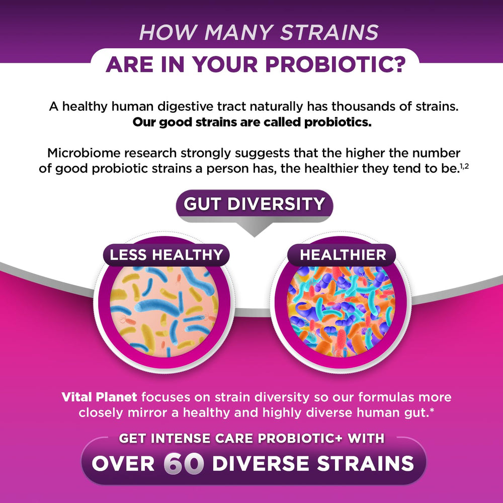 Vital Planet infographic showing organic prebiotics fueling probiotics for gut health.