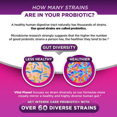 Vital Planet infographic showing organic prebiotics fueling probiotics for gut health.