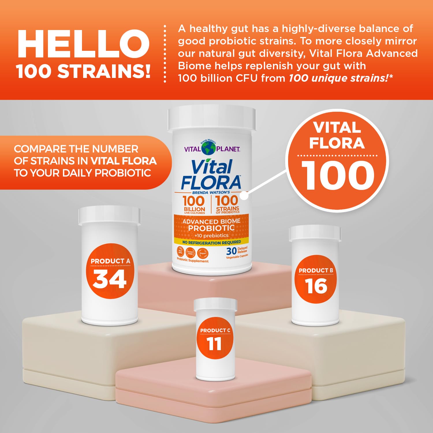 Vital Planet Vital Flora diverse strains on display suggest balanced digestion